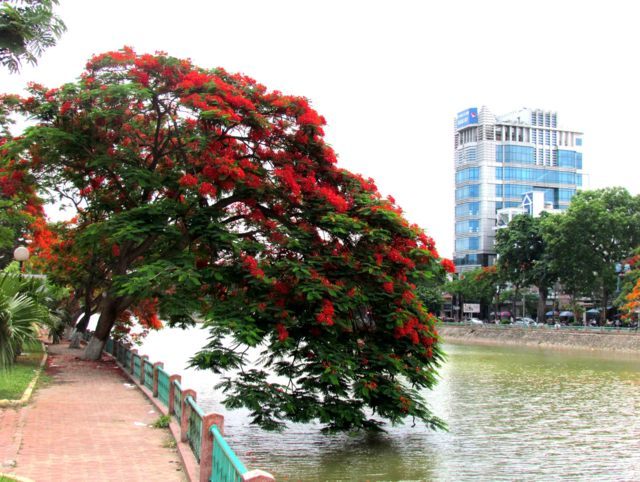 Thành Phố Hải Phòng