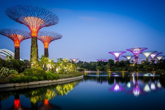 Gardens by the Bay – khu vườn tuyệt hảo của Singapore