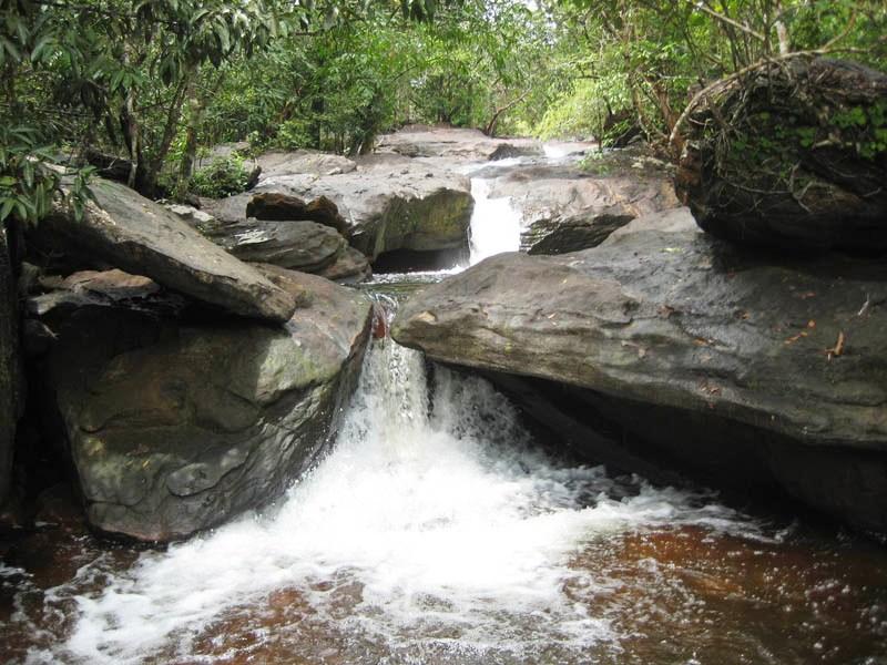 Suối Tiên