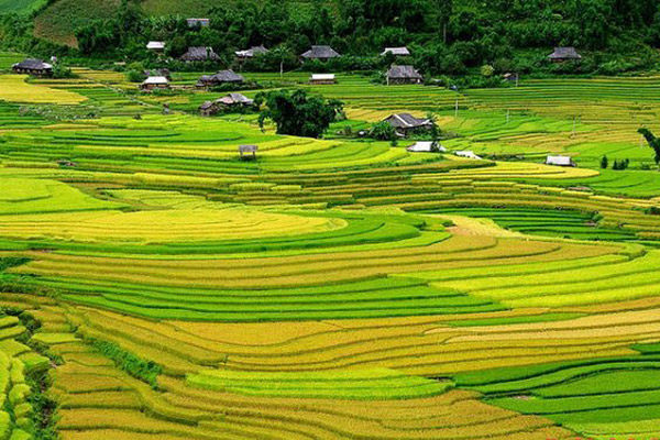 Vé máy bay Tết đi Thanh Hóa