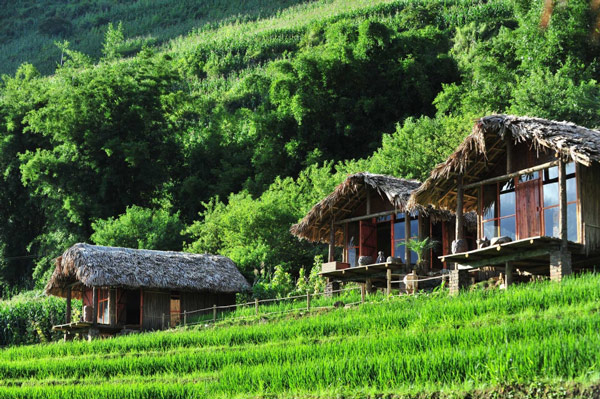 Phơri's House - Thung lũng Tả Van