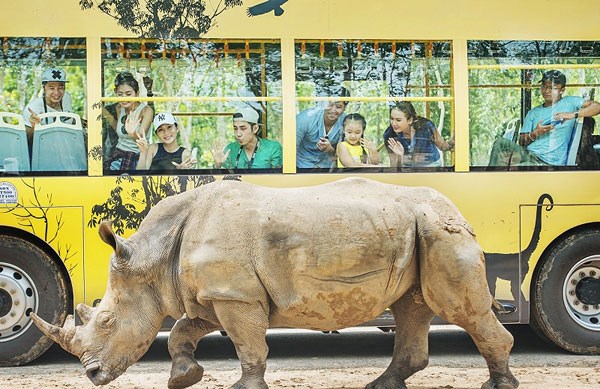 vé máy bay khuyến mãi đi Phú Quốc