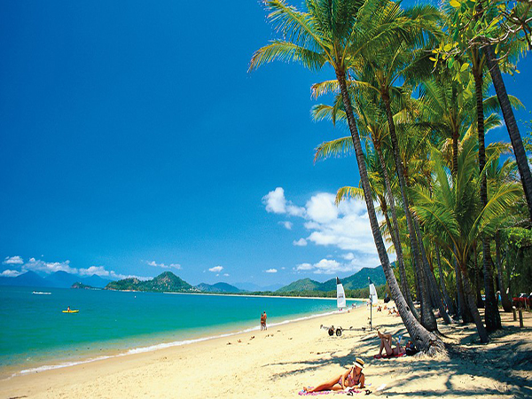 Bãi biển Palm Cove