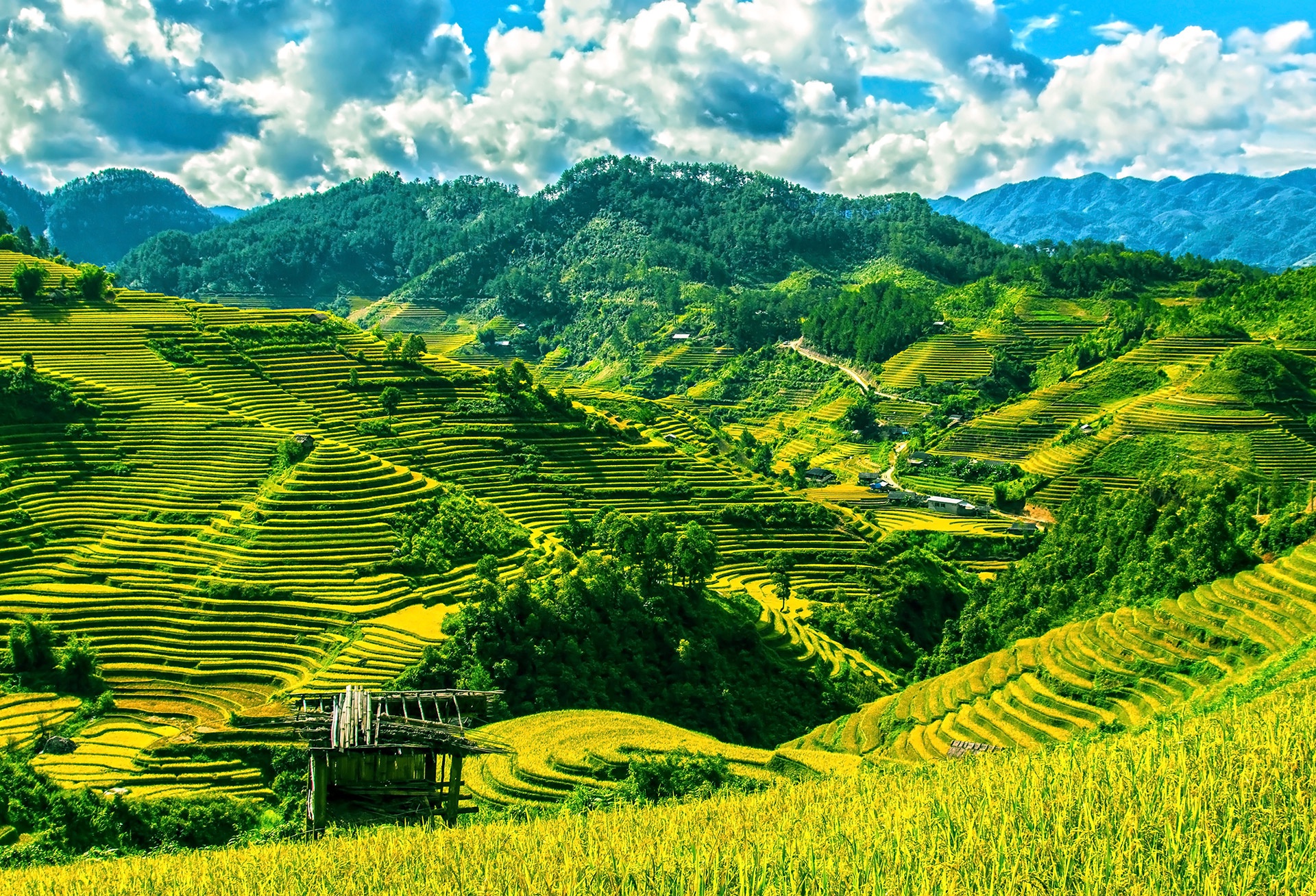 Ruộng bậc thang Sapa