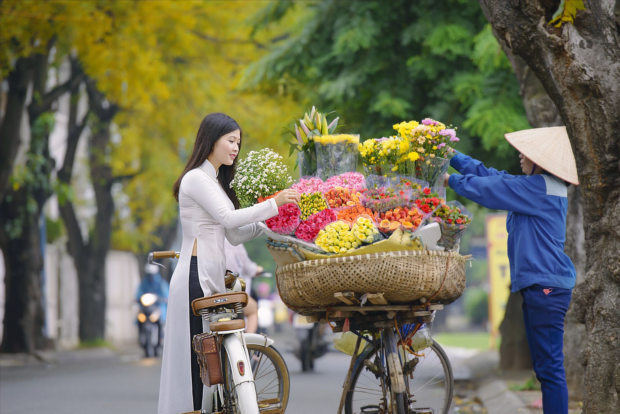 Đẹp nao lòng mùa thu Hà Nội