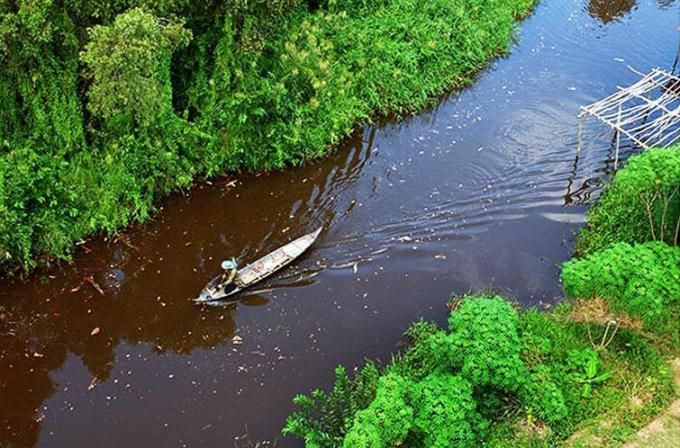 Khám phá U Minh Hạ bằng thuyền xuôi dòng nước