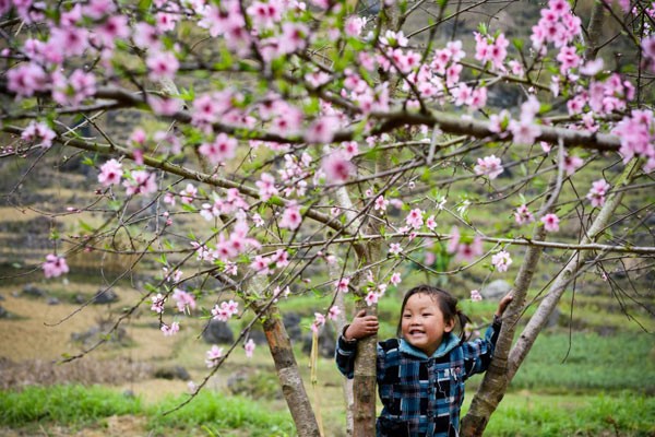 Vé máy bay giá rẻ đi Điện Biên