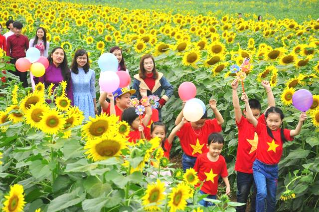 săn vé máy bay giá rẻ tháng 4