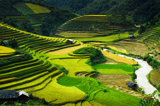 mu cang chai