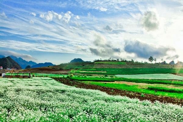 Săn vé máy bay giá rẻ tháng 12