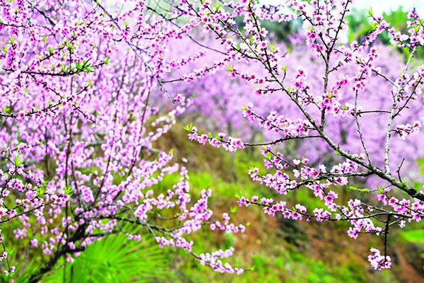 Săn vé máy bay giá rẻ tháng 2