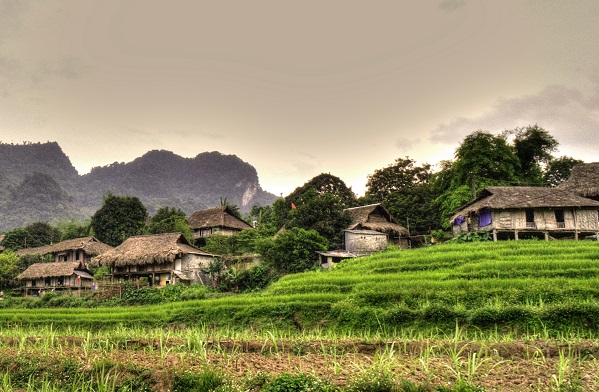 ban lac mai chau