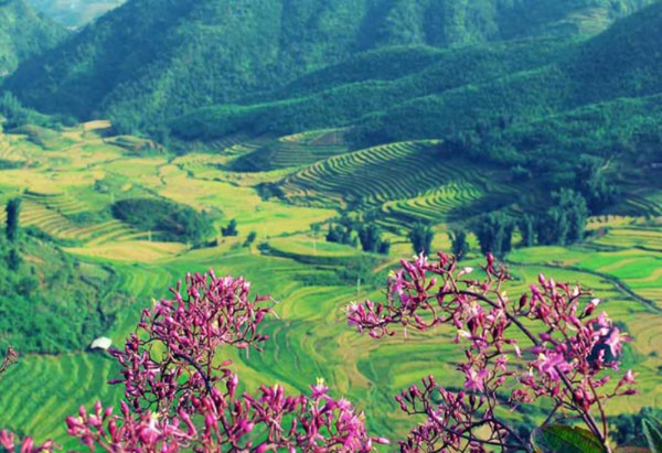 Điện Biên là địa điểm tham quan không thể bỏ qua tháng 3