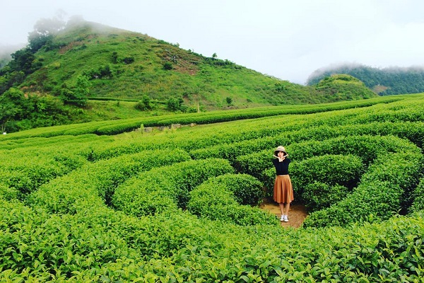 Vé máy bay đi Mộc Châu