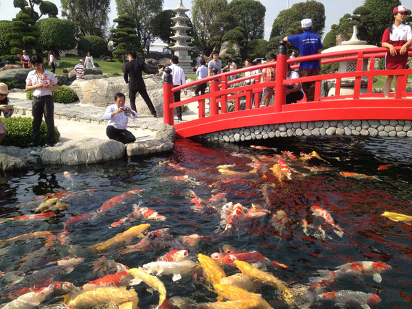 Koi RinRin Park