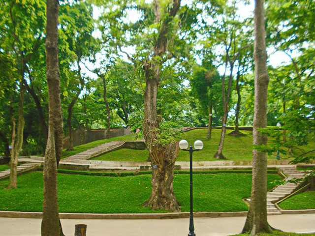 vuon bach thao ha noi