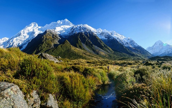 Vé máy bay đi New zealand