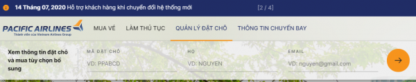 Điền đầy đủ các thông tin bắt buộc khi check in online