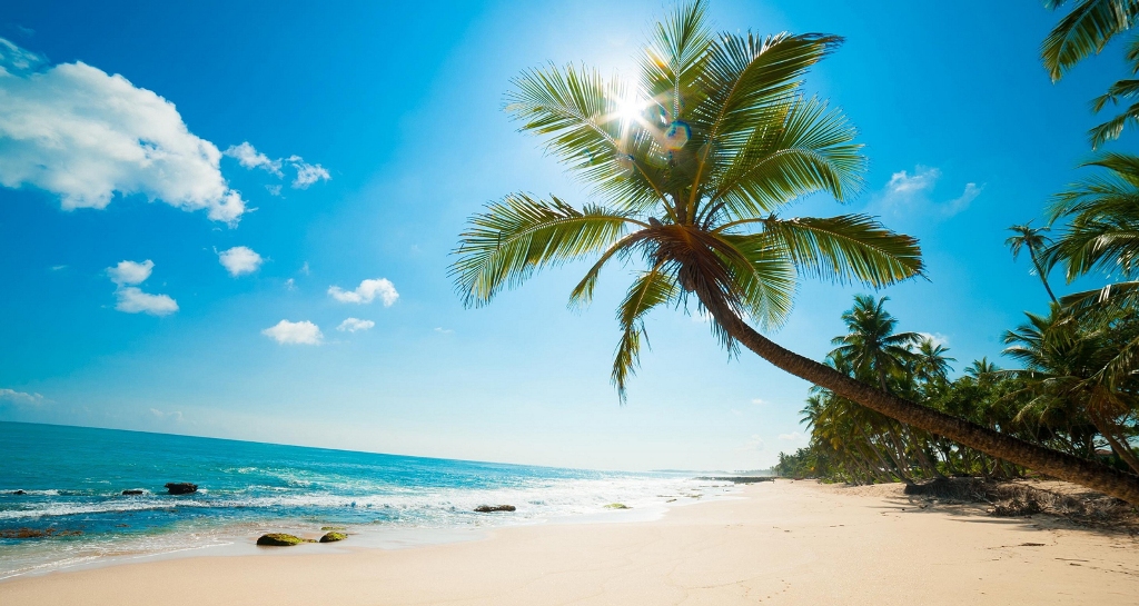 Vé máy bay giá rẻ đi Phú Quốc ngắm san hô