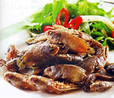 Vé máy bay khuyến mãi Sài Gòn đi Thanh Hóa khám phá danh lam thắng cảnh