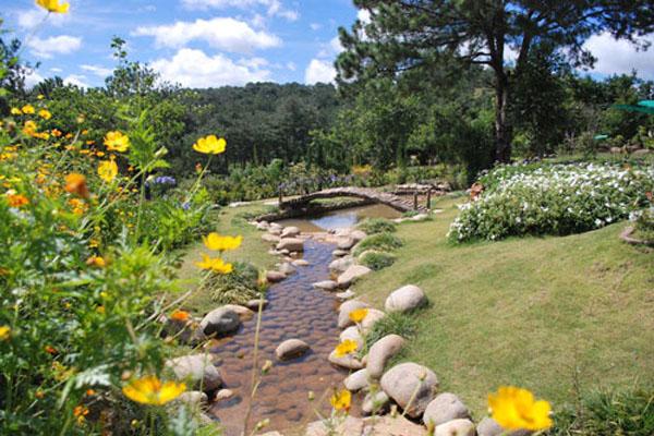Vé máy bay giá rẻ đến xứ sở ngàn hoa