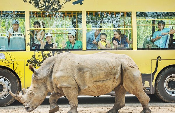 Vé máy bay khuyến mãi đi Phú Quốc