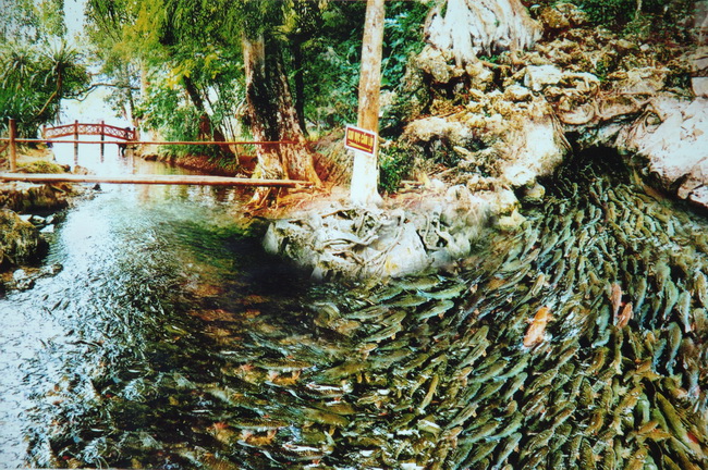 vé máy bay Sài Gòn Thanh Hóa