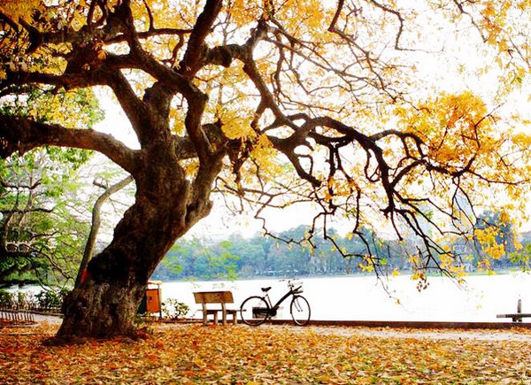 Săn vé máy bay giá rẻ đi Hà Nội