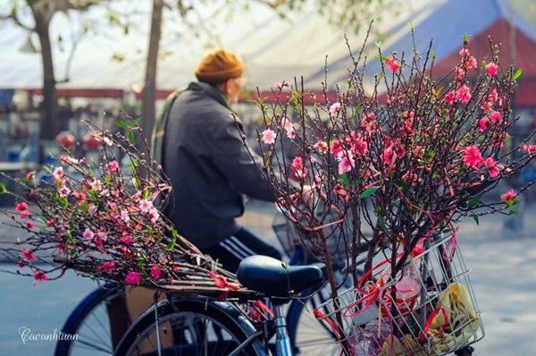 Săn vé máy bay đi chơi Tết