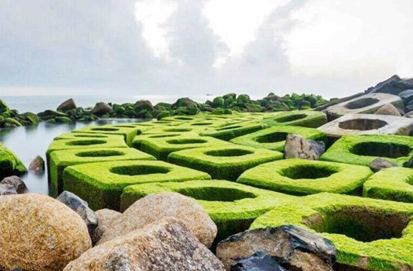 Đặt vé máy bay giá rẻ đi Tuy Hòa