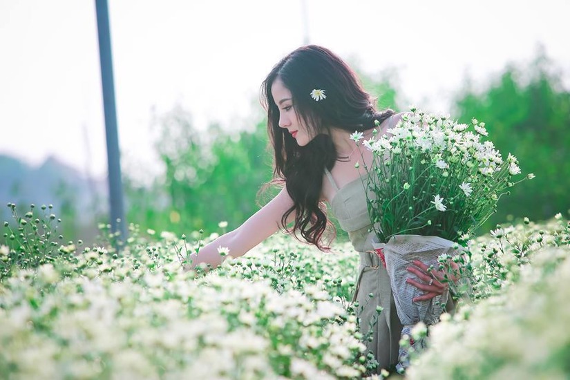Mùa đông Hà Nội cùng những khoảnh khắc tuyệt đẹp