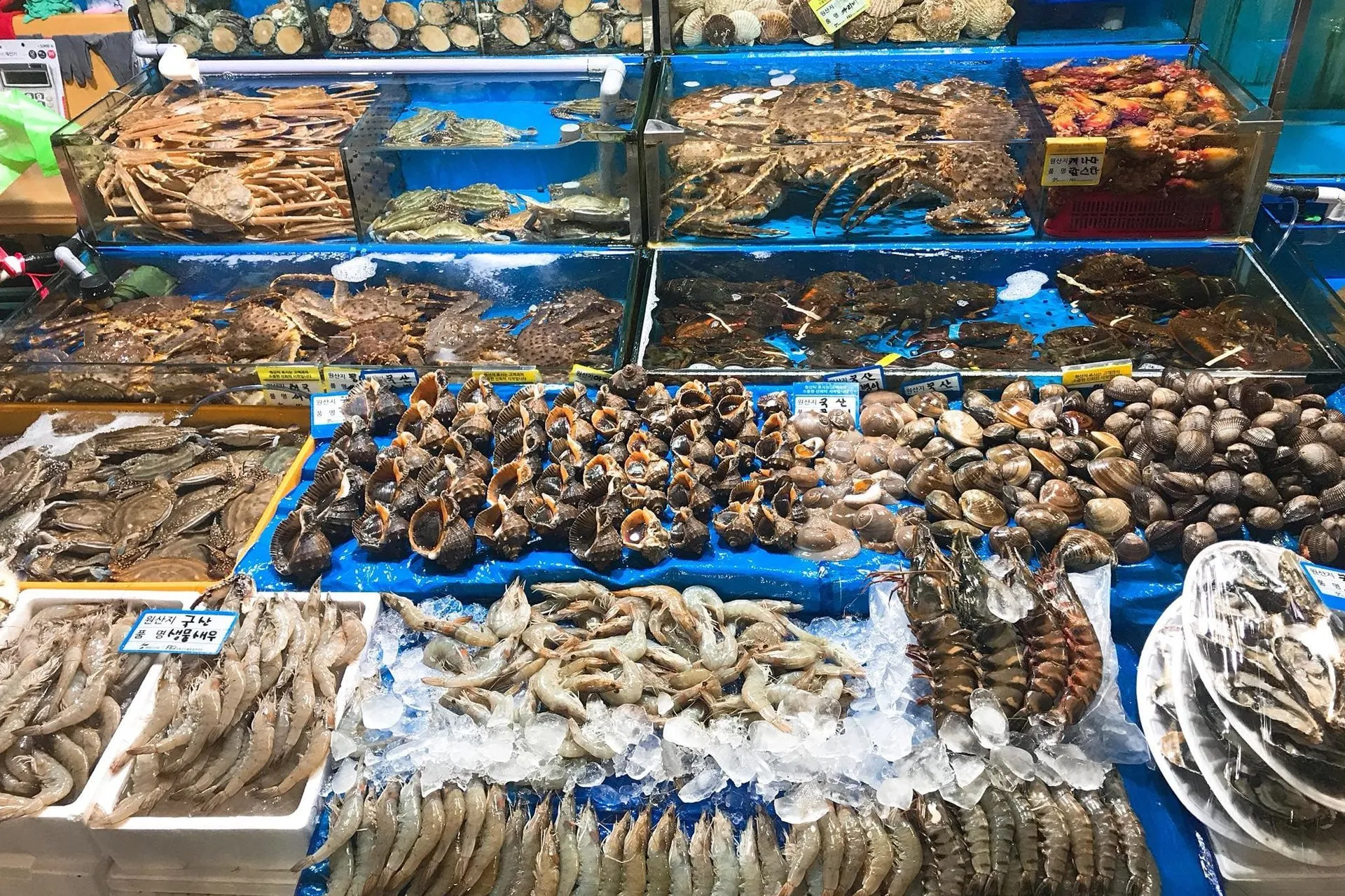 Nha Trang nổi tiếng với hải sản tươi sống cùng giá cả phải chăng